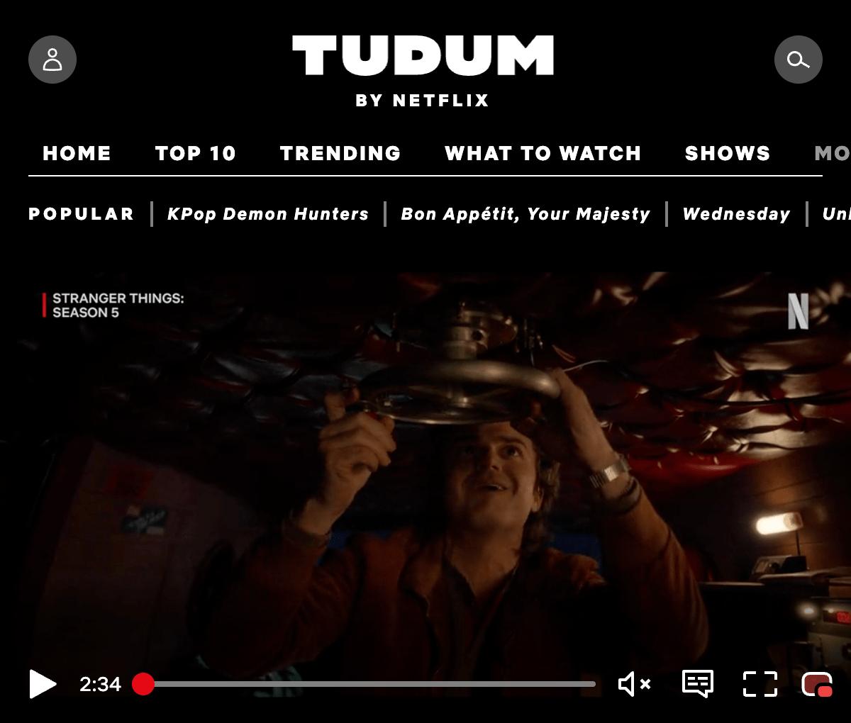 CinePiP: Picture in Picture Extension for Netflix